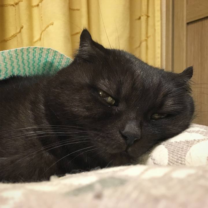 5c8cdea9 0373 4d2c be28 5e0b396e7f58 1511990048346