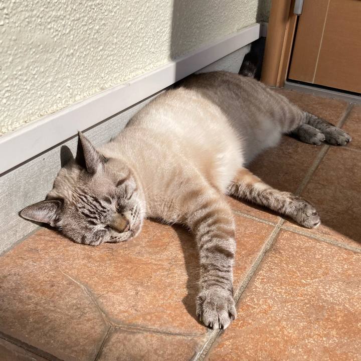 5c8ce153 e94c 4f0a bf9a a59d6ad68d2d 1766208881304