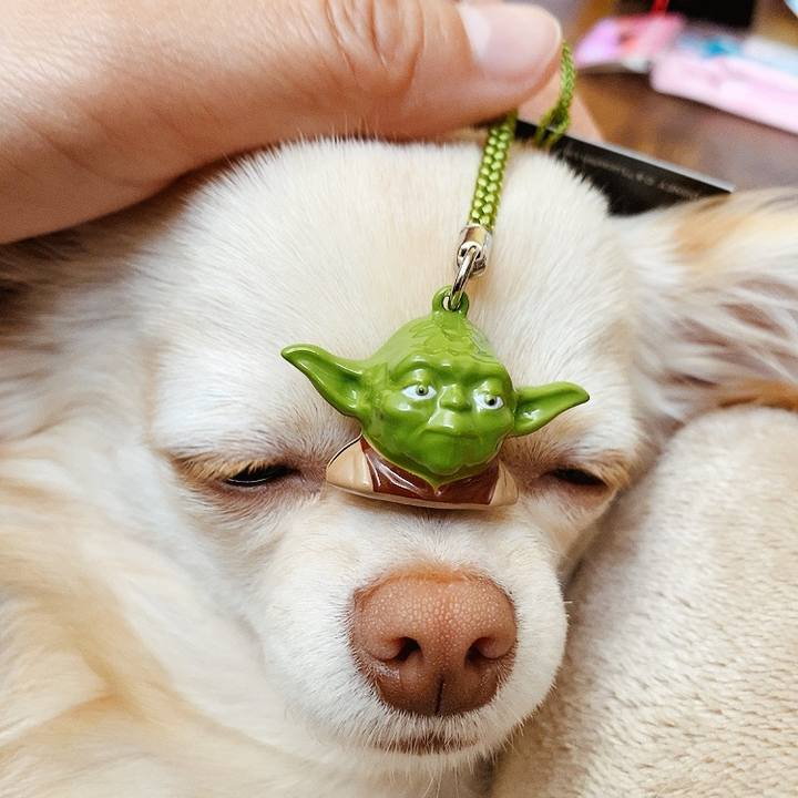 5c8cedc4 bf25 47be b778 60682e4a6989 1618108511640