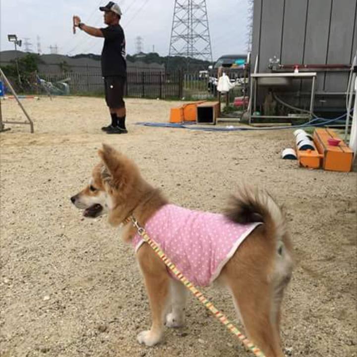 5c8d04ab d6d3 4142 9ed9 96ef28212557 1529725336994