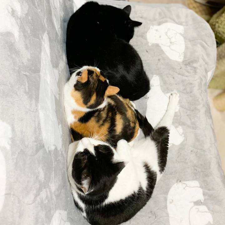 5c8d0ec8 ce45 45b5 b9fd f2dd57f8ef43 1580002593473