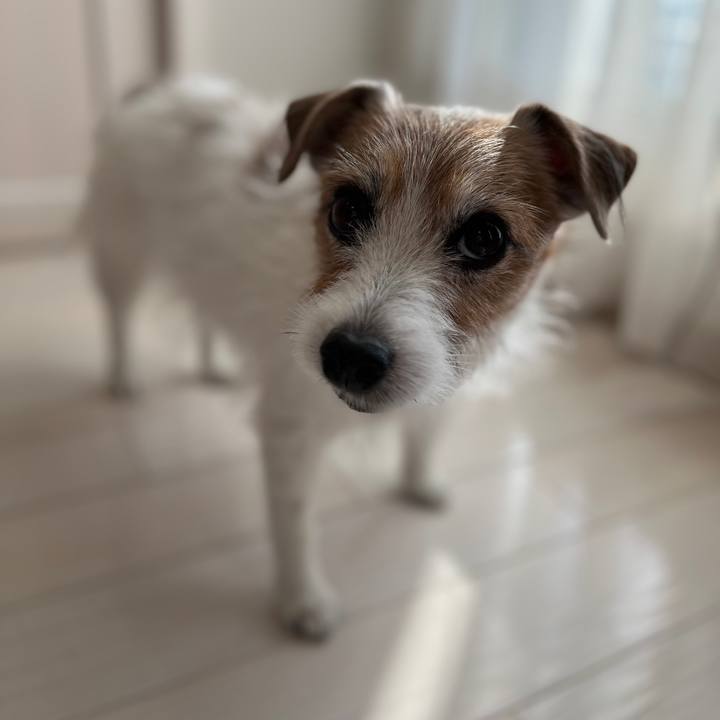 5c8d119b adc4 42d9 8719 b1e920175e05 1730698207127