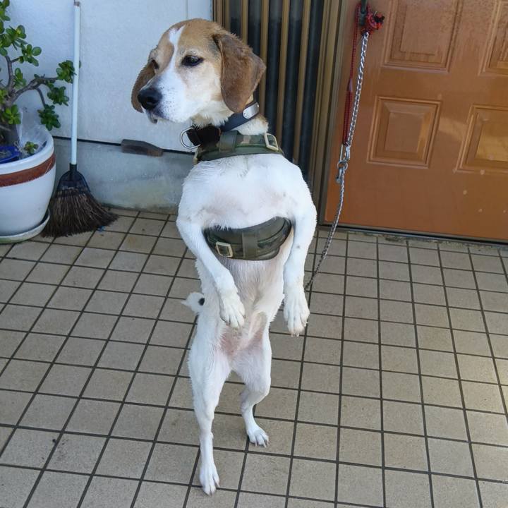 5c8d1f8d 38ce 40a8 b846 58dcef329c63 1716638194749