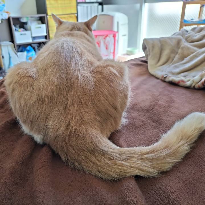 5c8d25df f322 4f9b a22f 99b3ad5db1d1 1631671135850