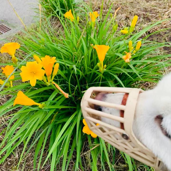 5c8d2a28 9540 415e a1f4 4361adb74d21 1562794408981