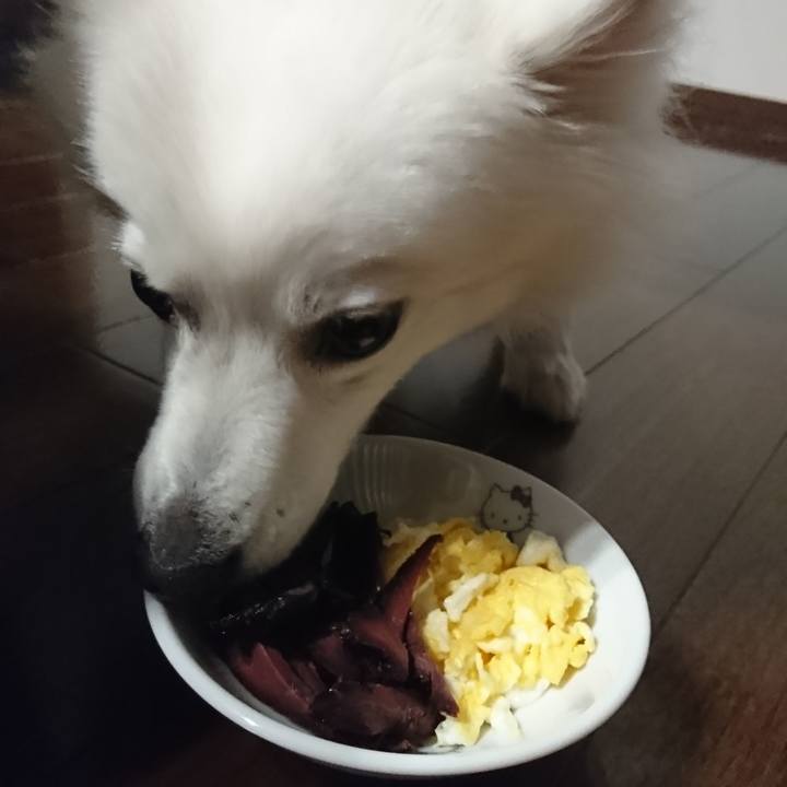 5c8d536e dc9f 482f b26e 739ff73b7e3c 1539169259855