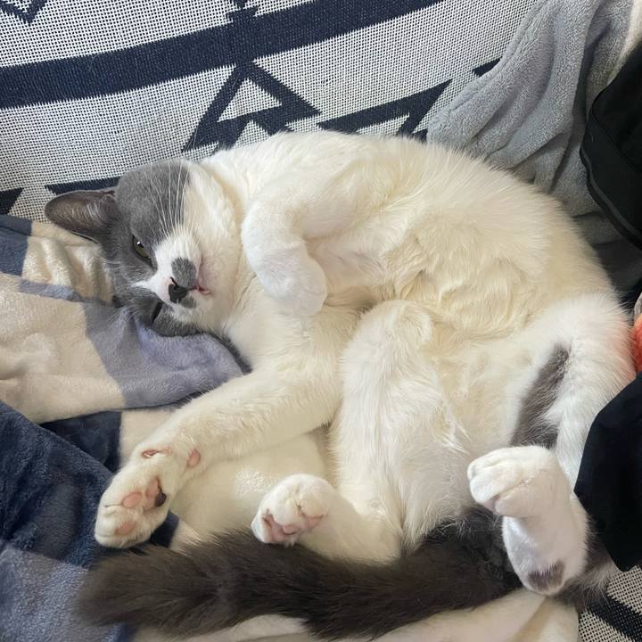 5c8d7b6c fc23 4cbf 8627 7416594e57f3 1679301021240