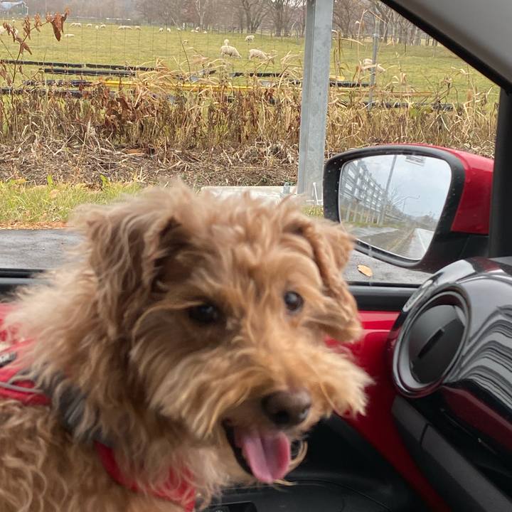 5c8d89b1 d8d9 441f a069 b75d3dd31374 1668303461605