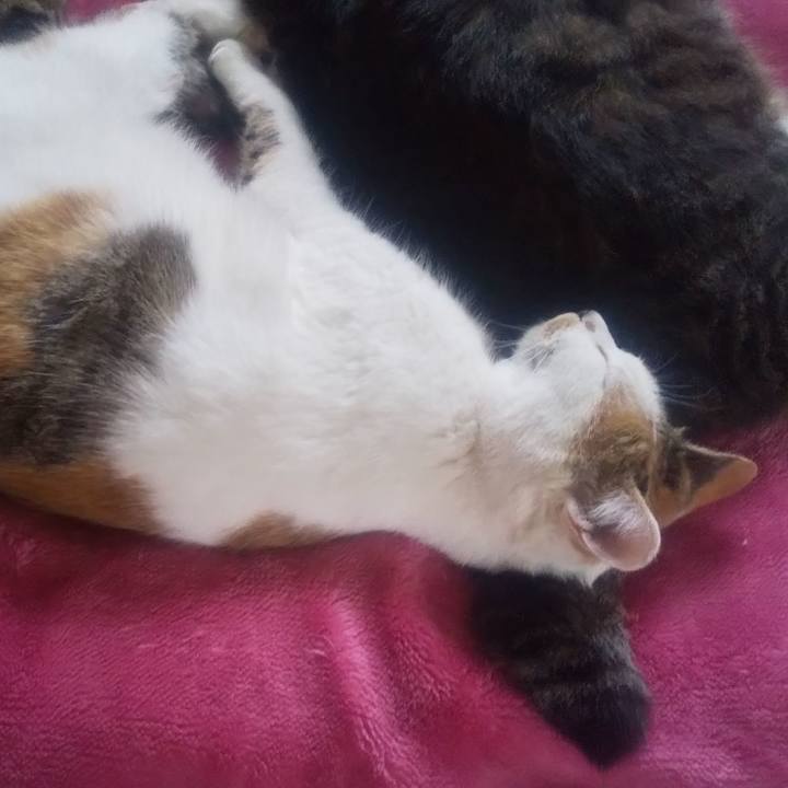 5c8d8ade 1a49 4671 8f5b 86ee4ff4e178 1686690791665