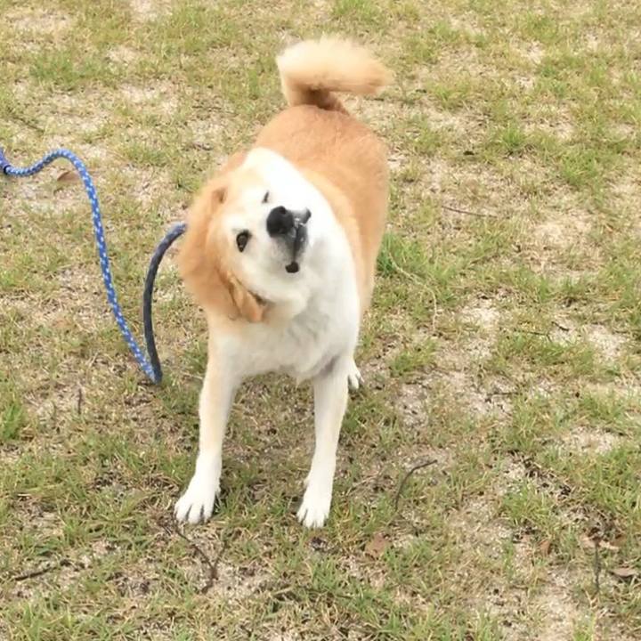 5c8da675 413a 4b0c 9555 5e4f18f1dd60 1526157201859