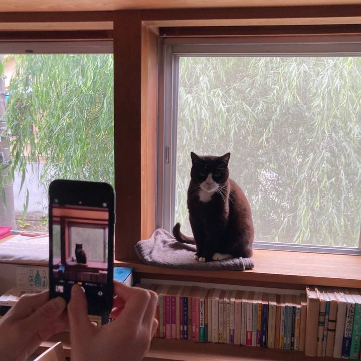 5c8dc20c 8218 433a 9f95 d9f4cf3c739b 1620191719461