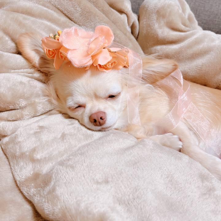 5c8def8d 8615 493b 993a 7168af5ff542 1661832798933