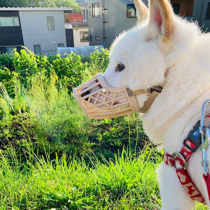 5c8e1748 c896 4f9b bb7a 7c0094dcee7f 1560805145982