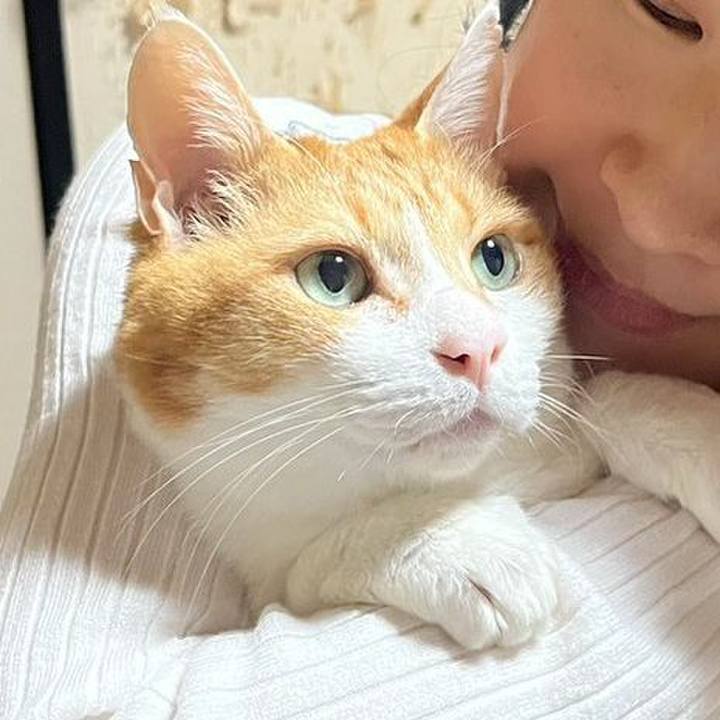 5c8e4049 0355 47f9 8949 ab7cf7772a31 1774912915307