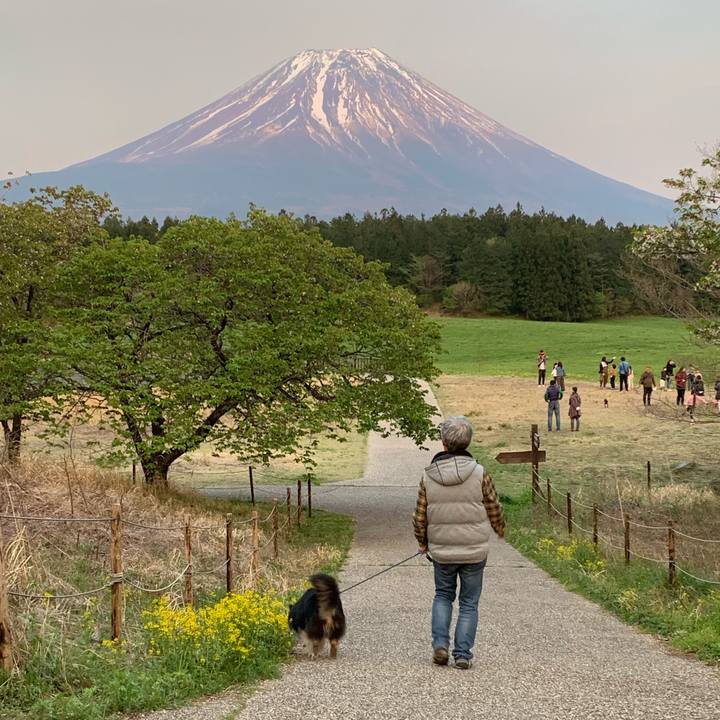 5c8e691c 85de 4058 a64b 72113b02c946 1556916987892