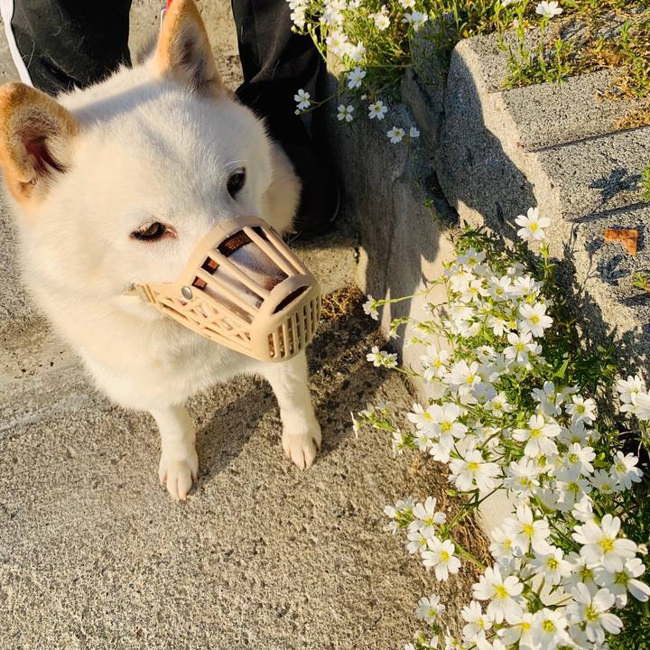 5c8e96ca eac4 42b1 8188 9359f5c4dc2b 1590785622138