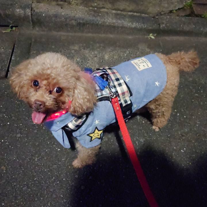 5c8ec0f1 c7e7 4043 8892 e3fa5b924c22 1728812337342