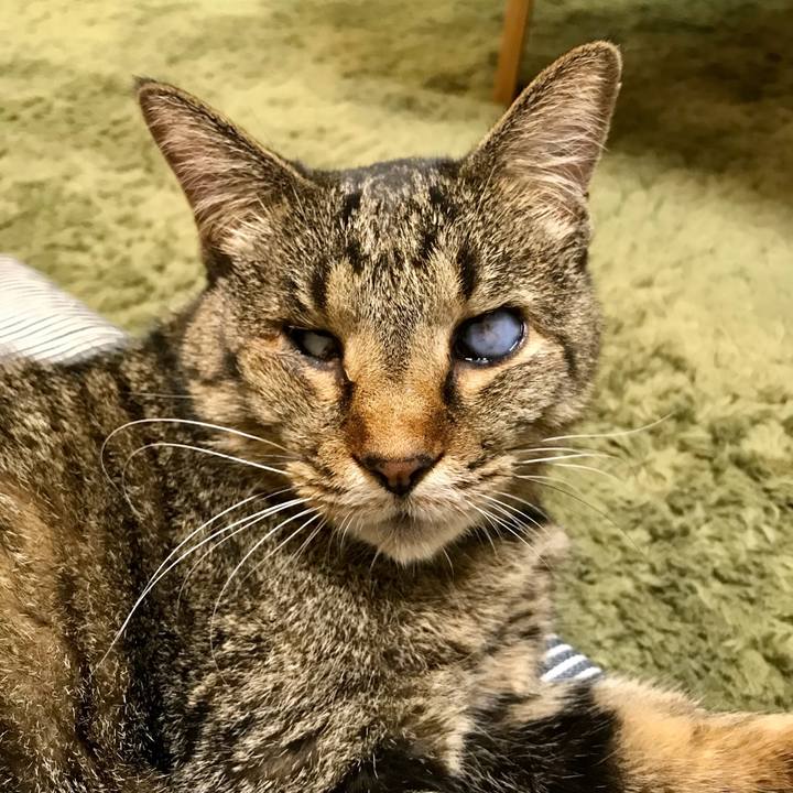 5c8edaaa ab75 4c89 a5ca a72e627c53b4 1625899809018