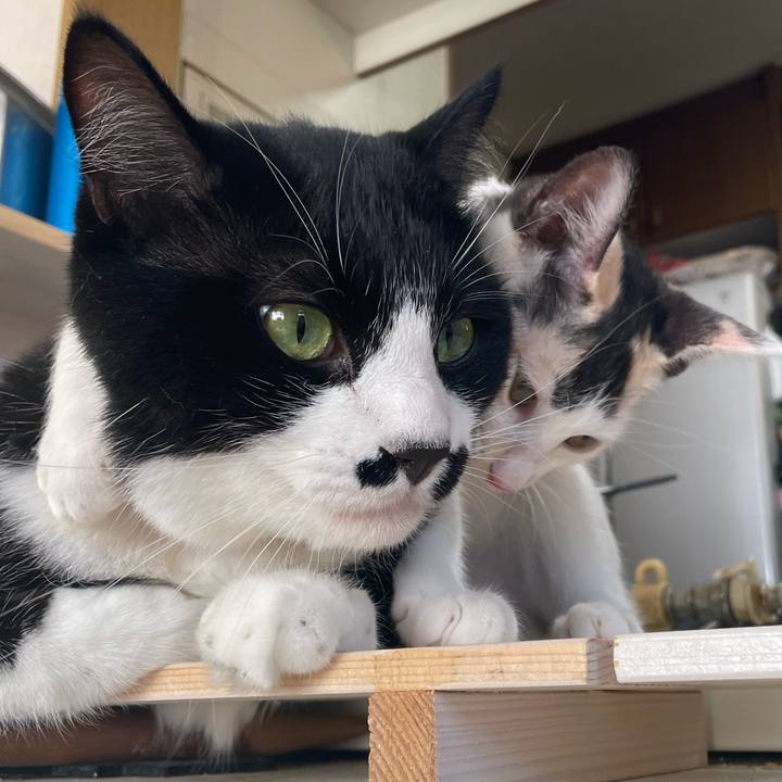 5c8efabc a168 47d4 95e9 98e17ef5a1ee 1660868473424