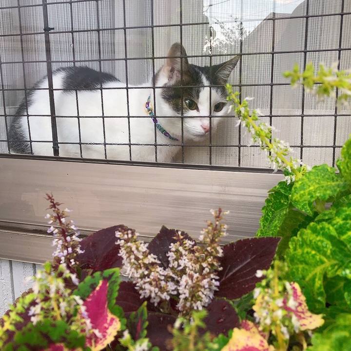 5c8f3361 23ac 488d 8197 71743b2dc847 1660811655422