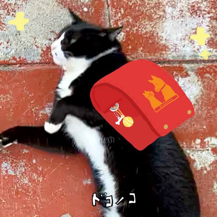 5c8f8305 fd67 4a27 8c4d 85bf7b56e32d 1744288738339