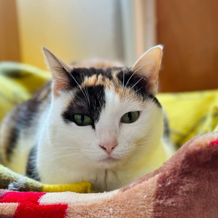 5c8faab5 aedf 4d0b 9ad9 e04833f38ea8 1680225161116