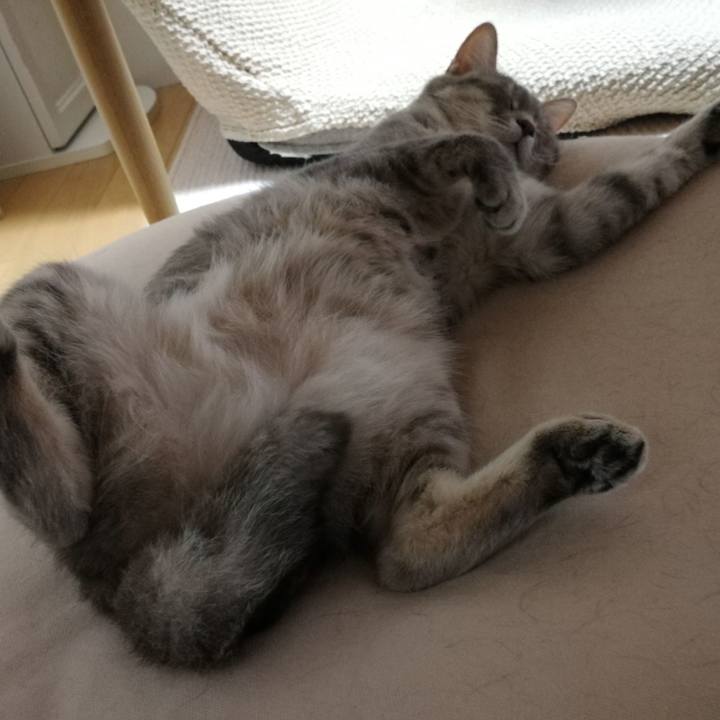 5c8fbc7d 228a 4b5c 8db7 ca7b67f9054e 1528113636683