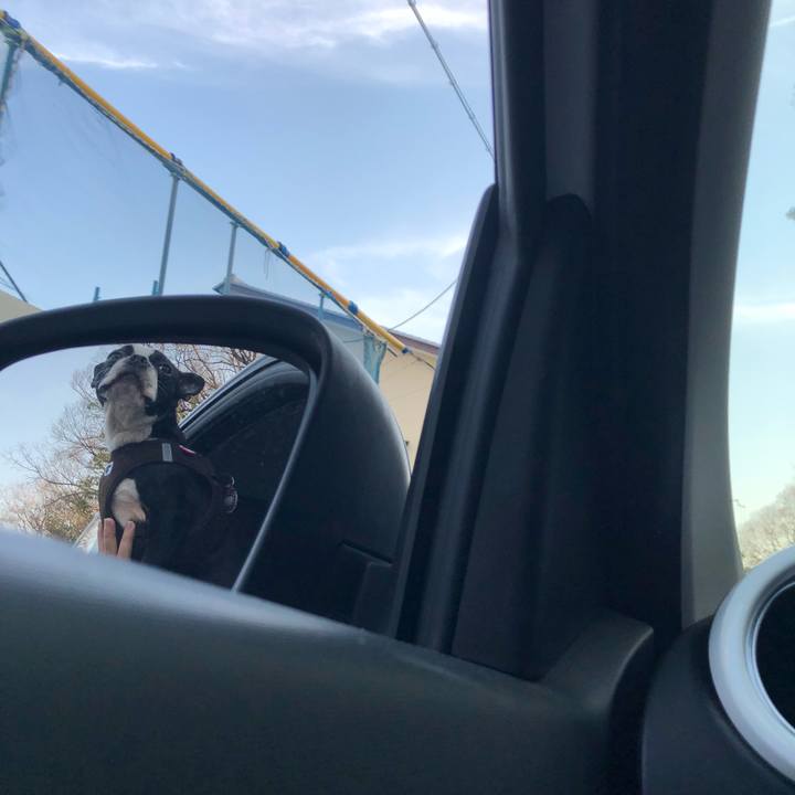 5c8fc822 9a07 4224 88b9 4ca17b54597d 1522118671222