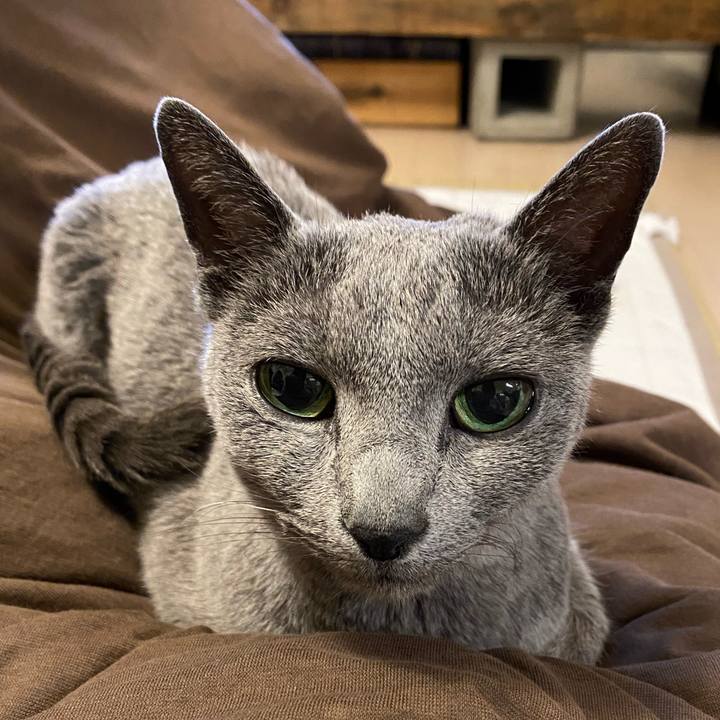 5c8fcd8e cfcd 43ef 8cac a58fe5248aa5 1587643589864