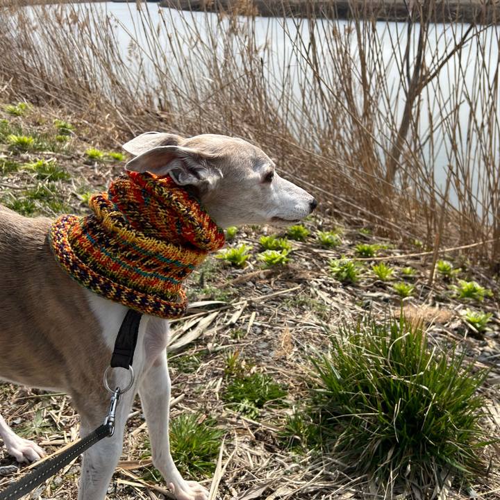 5c900289 b7d5 4615 b786 091ece3504be 1774512610729