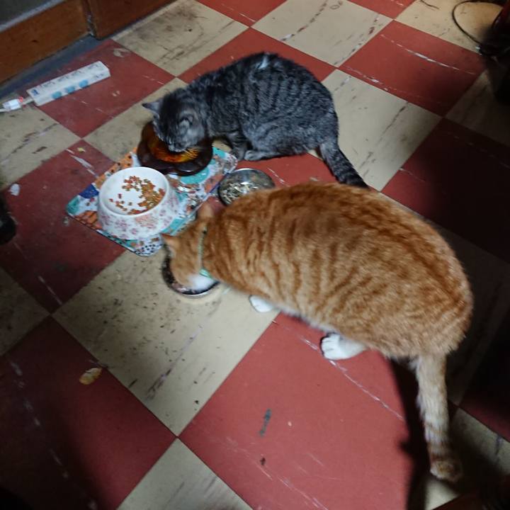 5c902279 2d3c 498d 8d43 45c610f8fad4 1581325483251