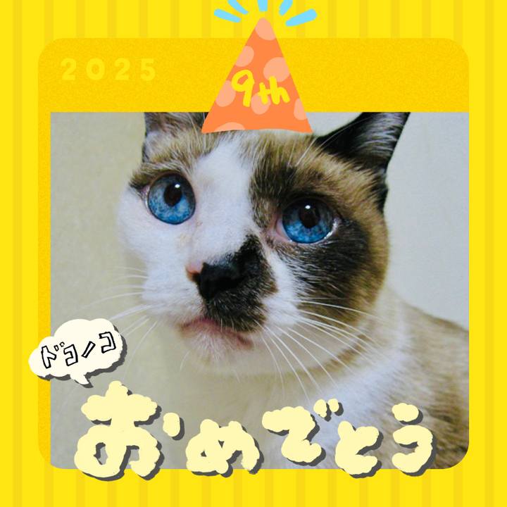 5c903651 d343 4055 a429 fb04c61d7914 1749124679364