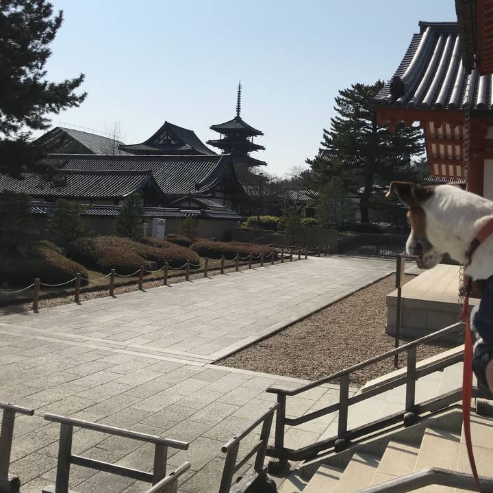 5c90a173 1980 4f23 a94b 700d08b4c743 1520769369559