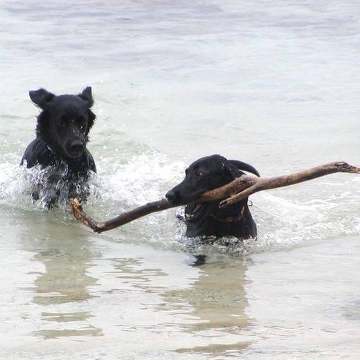 5c90a3cd 6838 4f68 bdc9 a3fb69bd38cb 1568988897652