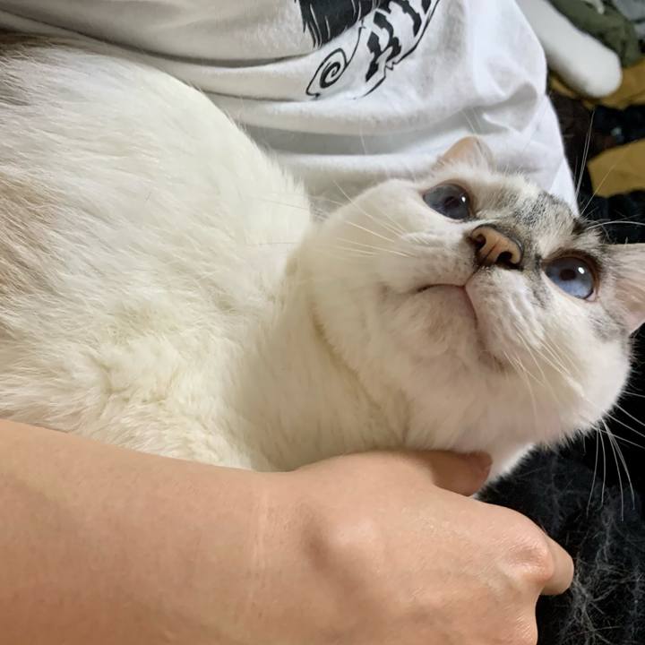 5c91082b 4f8e 4f2f aeba f2c7076a5730 1620432024824