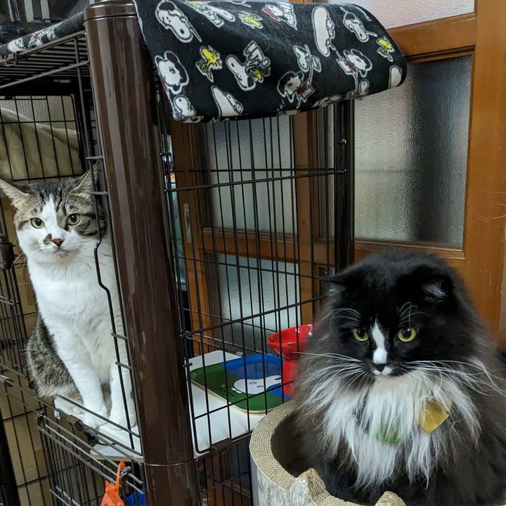 5c913767 a804 4ca3 95f2 f11a5a4d5f9b 1699104926416