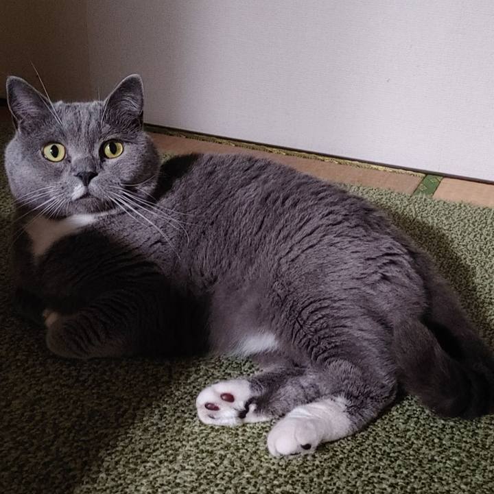 5c914a96 40b6 40b7 ba45 60f5c0cbf02b 1655379892903