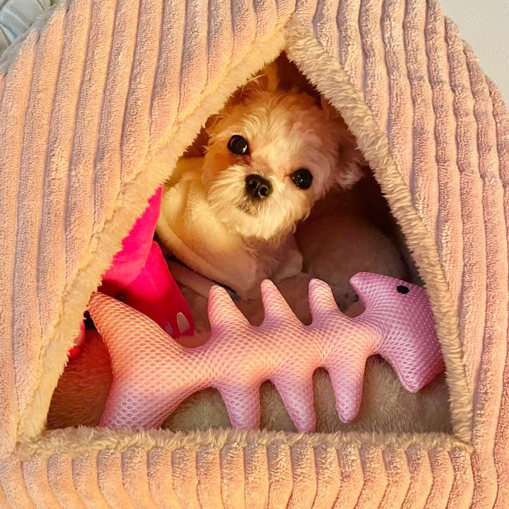 5c917658 fcce 4844 82b9 0d89605ab0a1 1642499812137