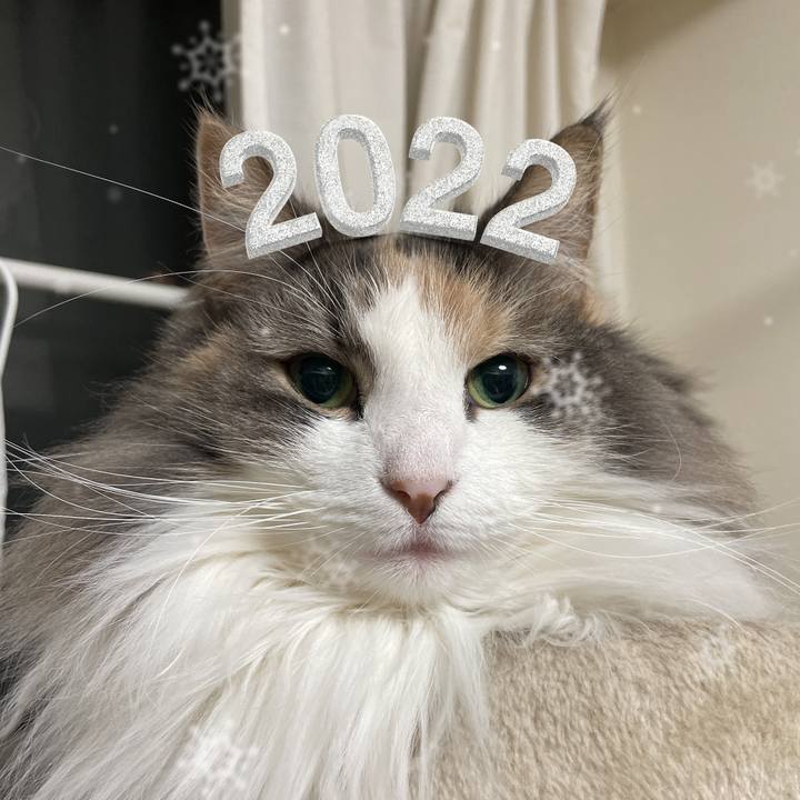 5c91e05a 1f0e 488f 8cd9 57e865f911e4 1641127826890