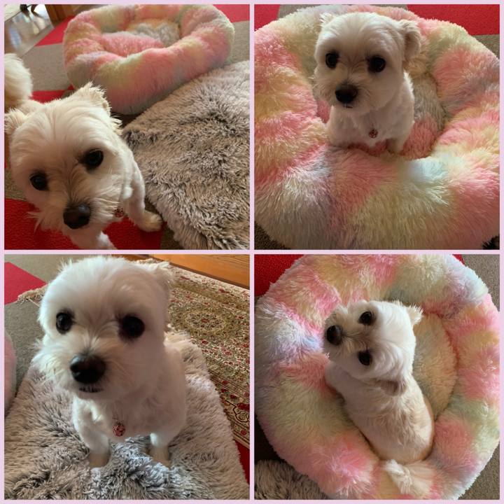 5c91f878 8f95 4789 8b03 3dd608058f9a 1630907065446