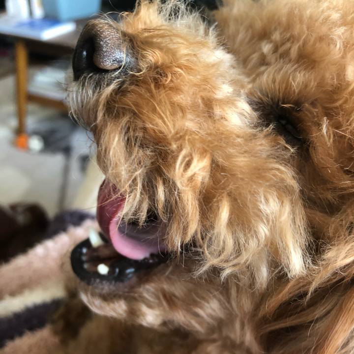 5c91f9aa f71e 486a b445 f68c9f963733 1588470915943