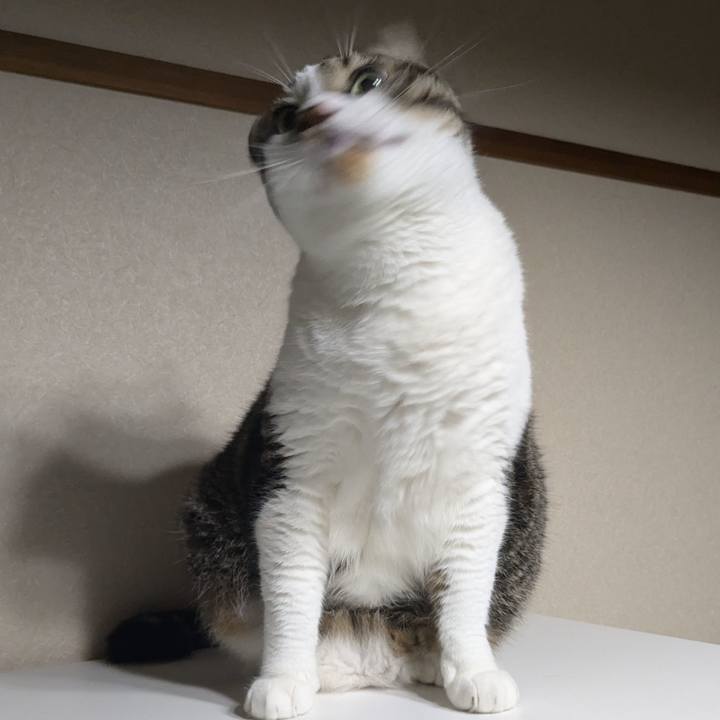 5c921ffd ddc5 4236 90b9 ec506827d44c 1725179673573