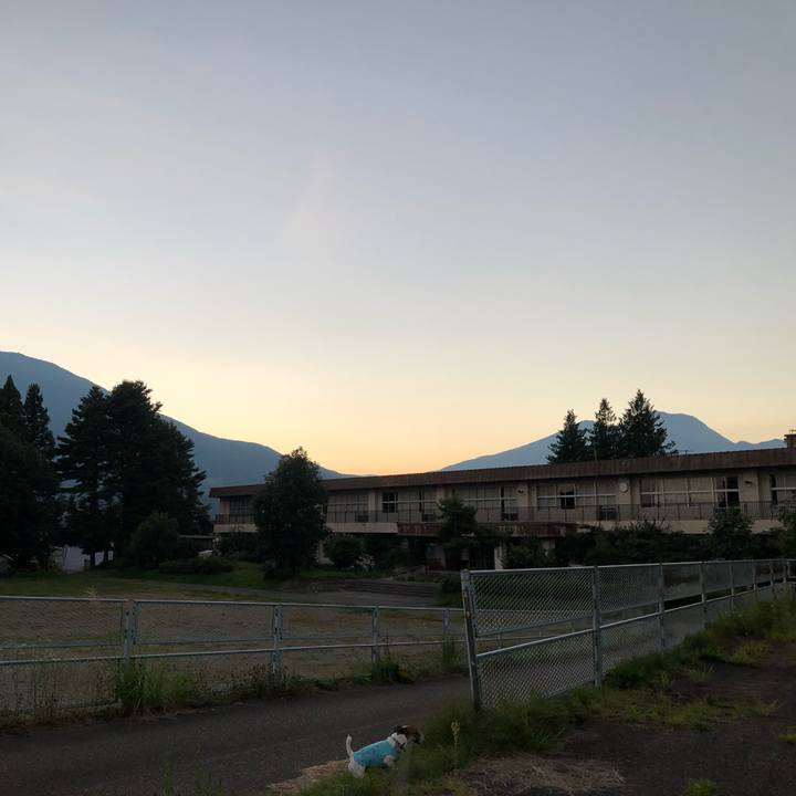 5c92604f 94c9 41c1 802f 0c2a1b9d2a16 1597843614437