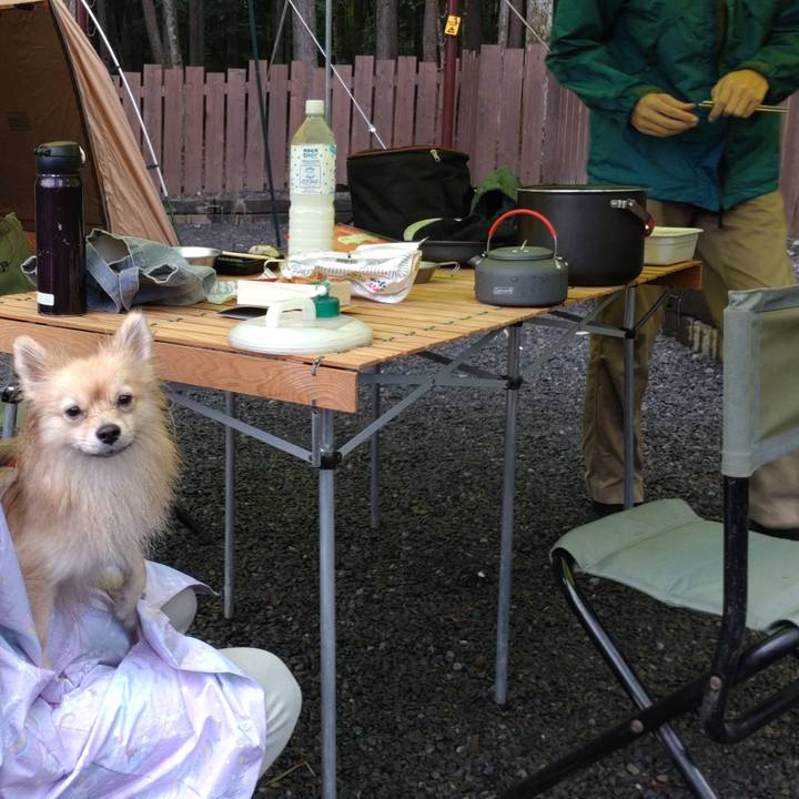 5c9269d2 2832 4c2f b70c 9f6bc536d611 1759637543652