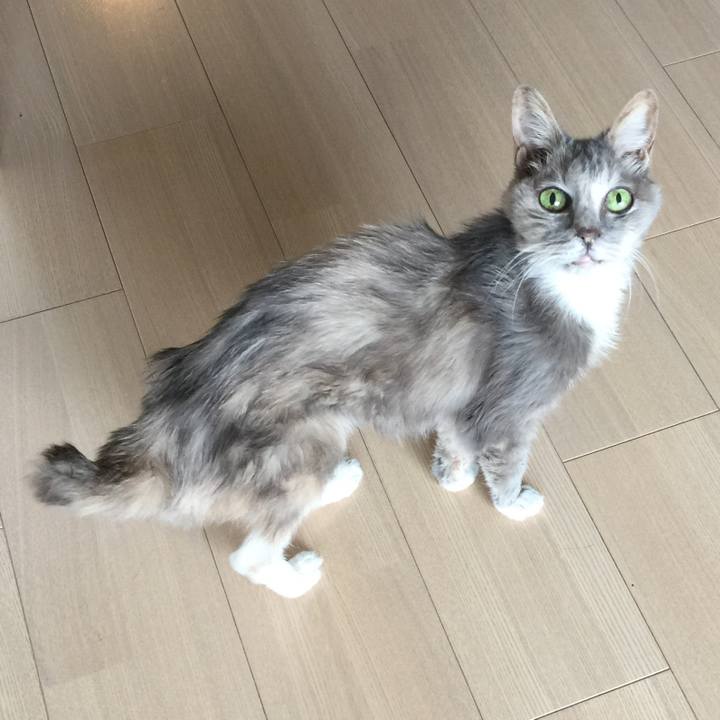 5c929320 d671 4c12 89b0 a66ad20c76d2 1526179372497