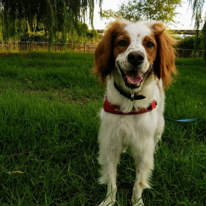 5c92c2be cbe0 403c b14e 563ea48b8697 1533901957925