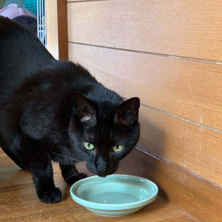 5c92c862 720d 4511 abdf 98bbcb89858e 1557979983963