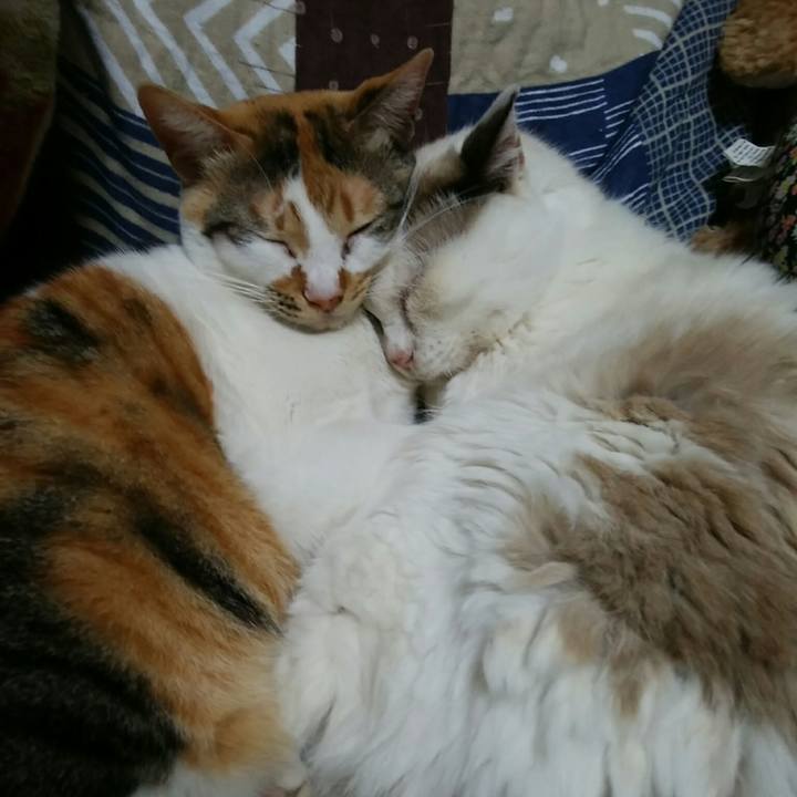 5c92e59c 4da5 4510 9b5c 538b7e854b87 1552399373031