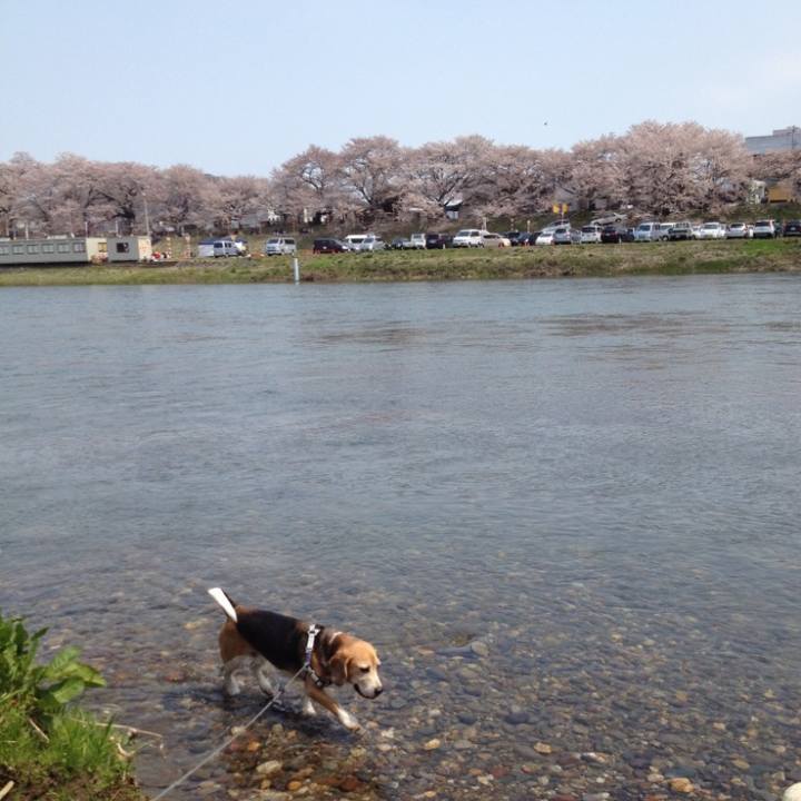 5c92fcc3 ff53 4036 bee7 26bfc2104866 1649767231892