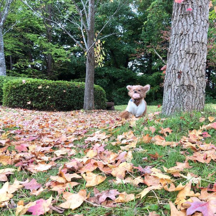 5c931a69 1e9a 4236 8151 17740b303151 1572153709811